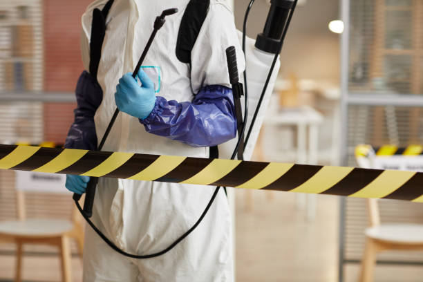 Professional Sewage Cleanup technician working in Melrose, MA